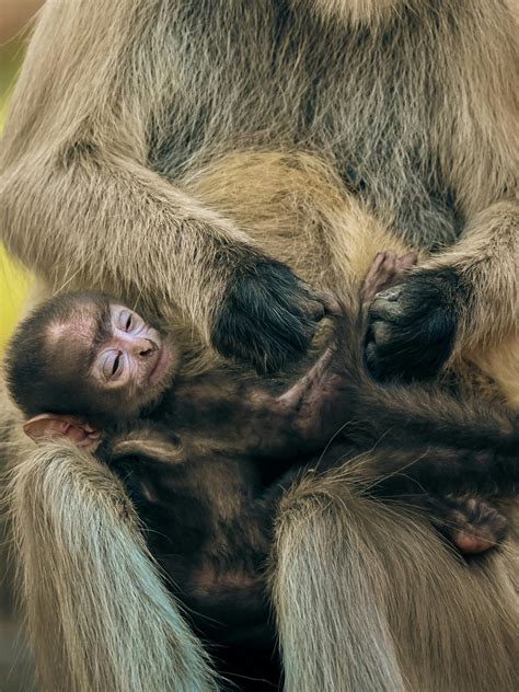 Step+Mom+And+Step+Son+Taboo+Video Photos, Download The BEST Free Step