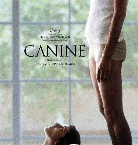 VIDEODROMODVD: Canino