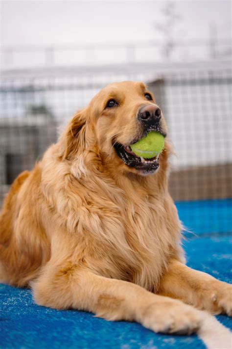 Roblox Fps Game Photos, Download The BEST Free Roblox Fps Game Stock Photos & HD Images