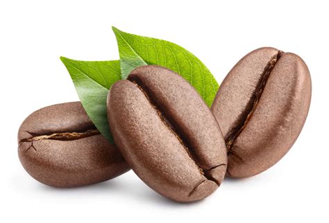 manfaat kopi  kesehatan  tips aman meminumnya youvit