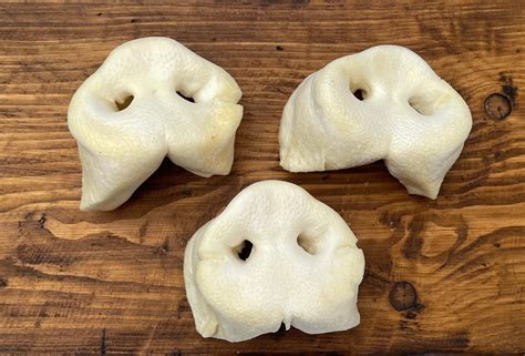 Puffed pig snout – PoochAndPaw