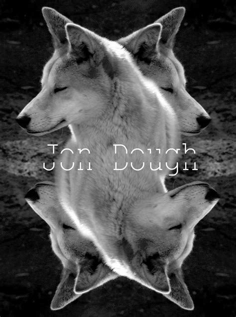 Pictures of Jon Dough