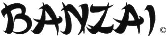 Banzai Logo Heading