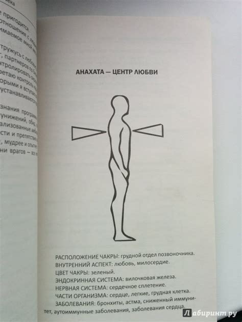 Книга: Многомерная модель человека. Энергоинформационные причины ...