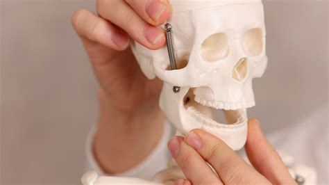 treatments  jaw alignment  dental district