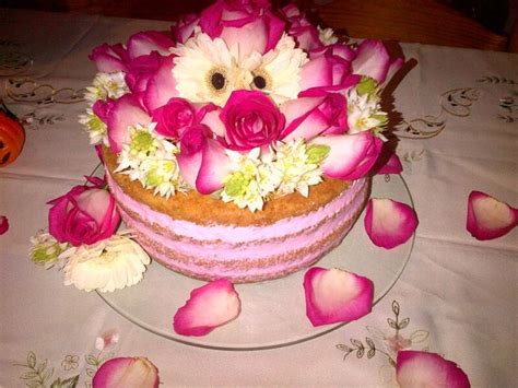 pin  eudeli su tortas desnudas  semidesnudas