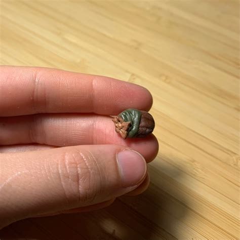 Mini stuff | ВКонтакте