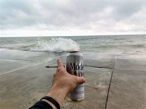 I shouldn’t have shaken it : r/funny