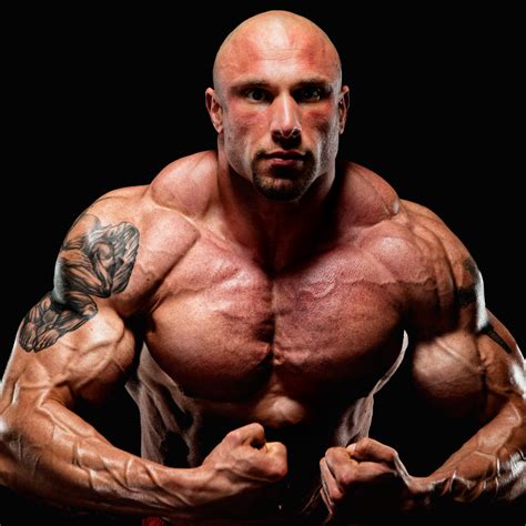 effective dumbbell chest workout  bench lifts prolab nutrition