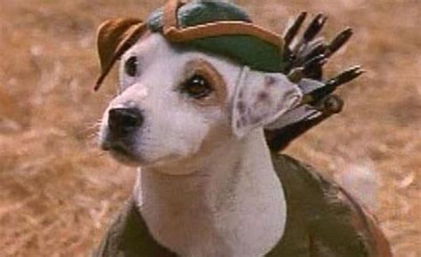 Universal to Adapt PBS Series 'Wishbone' As A Feature Film - mxdwn Movies