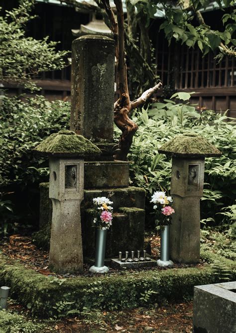 Japanese+Stepfather+Daughter+Xxx Photos, Download The BEST Free