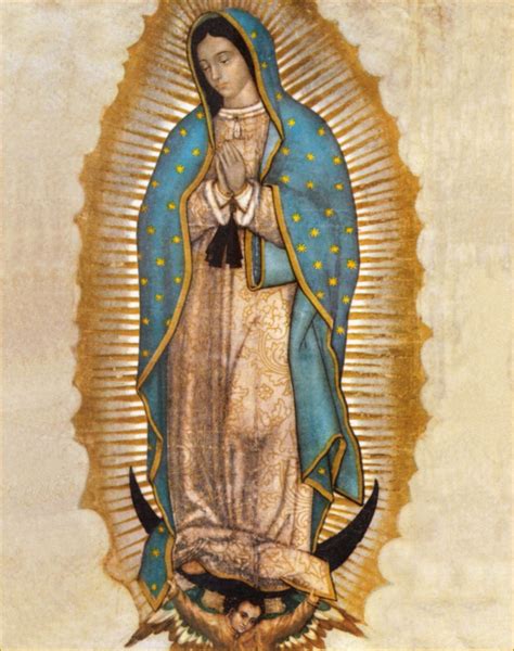 Novena A La Virgen De Guadalupe 5
