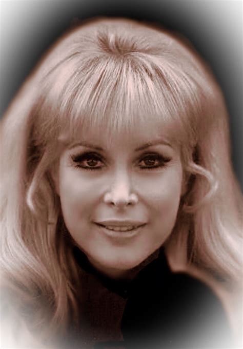 Pin by Andrew Lynch on Barbara Eden | Barbara eden, Hollywood