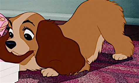 Lady - Disney's Lady and the Tramp Photo (41113706) - Fanpop