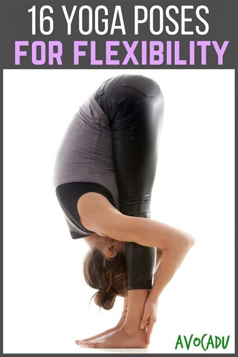 Yoga Poses for Flexibility, 16 Most Effective Asanas | Avocadu