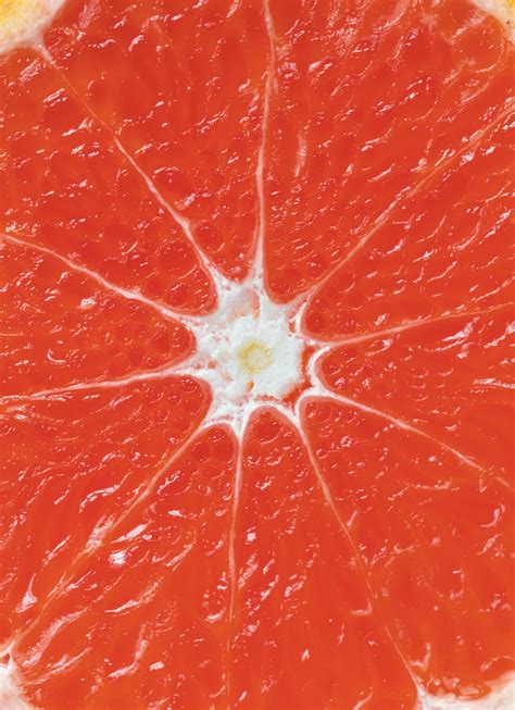 images citrus rangpur mandarin orange clementine bitter
