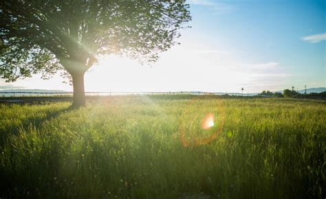 Prescribing nature