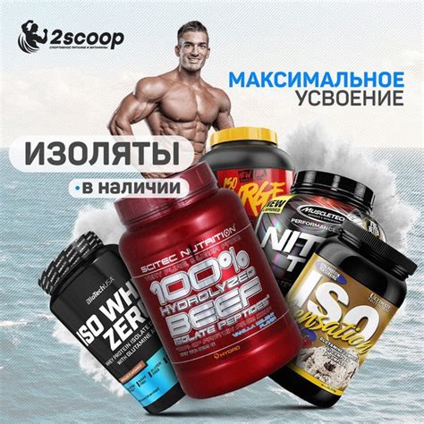 Изолироваться, а может, лучше — изолят? Изолят отличается глубокой ...