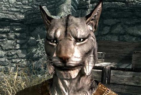 The Elder Scrolls 5: Skyrim - Расы в Skyrim