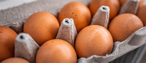 egg safety tips  questions answered
