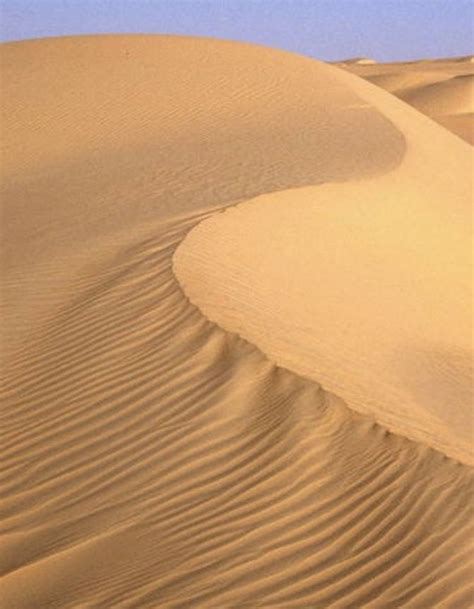 pin  scucusu  deserti desert life nature reserve