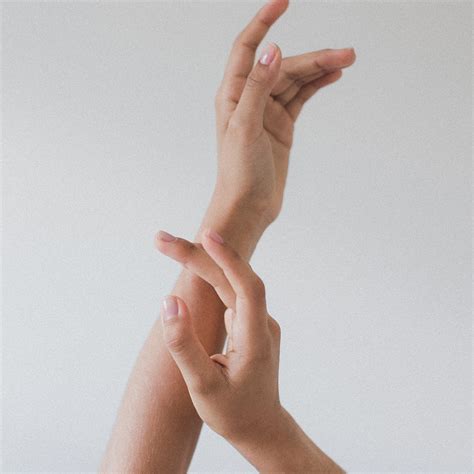 touch  behance