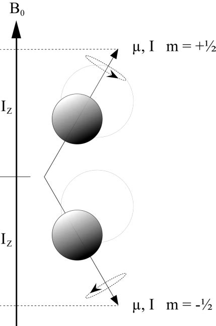 1. Orientations of the magnetic moment of a spin " nucleus in an ...