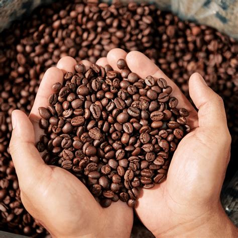 Coffee – Formett Consulting