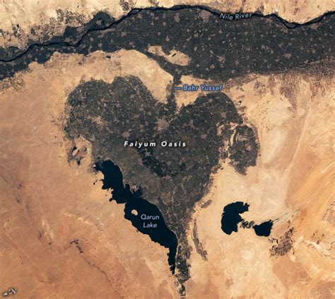 Astronauts spot an ancient heart-shaped oasis in Egypt just in time for ...