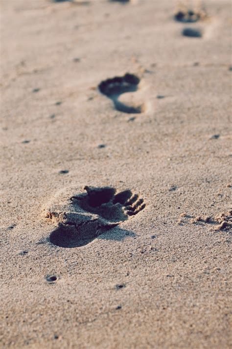 steps pictures hq   images  unsplash