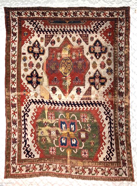 The worlds most interesting Kazak. Very early with multiple condition ...