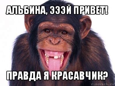 альбина, эээй привет! правда я красавчик?, Мем мавпа - Рисовач .Ру