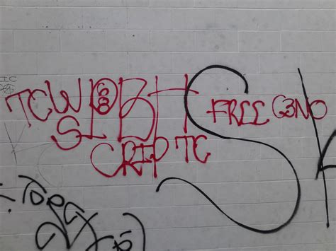 PlayBoy Hustler Crips