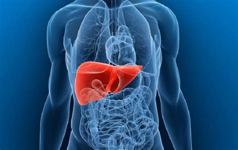 Causes, Treatments and Home Remedies For Liver Swelling