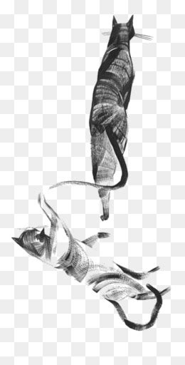 cat  png images vectors  psd files    pngtree