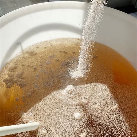 Mangrove Jacks - M05 - Mead Yeast - 10g for sale