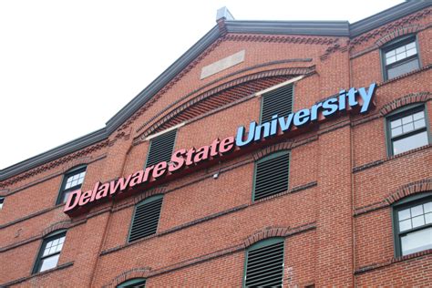 braven partner  dsu  mentorship program