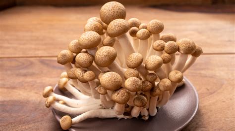 The Asian Mushrooms That'll Bring You The Perfect Amount Of Umami