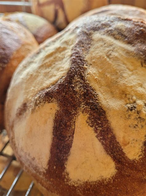 Abundance Artisan Bakery added... - Abundance Artisan Bakery