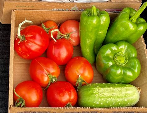 When and How to Plant Vegetables | NDSU Agriculture