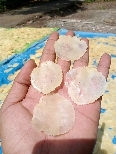 emping melinjo emping tangkil emping asli kg lazada indonesia