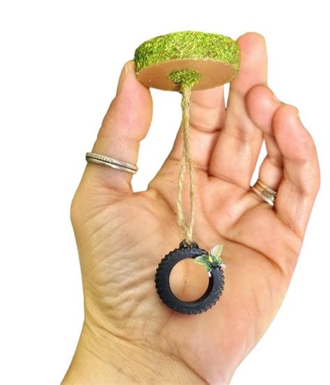 jumping spider tire swing etsy