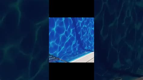 DOSUG - YouTube