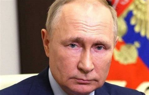 Владимир путин кгб фото