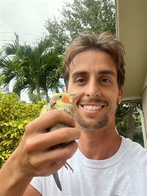 how to cockatiel injured cheap 1