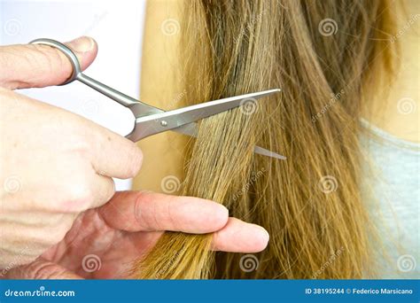 Big Lock of Long Hair Being Cut with Scissors Stock Photo - Image of ...