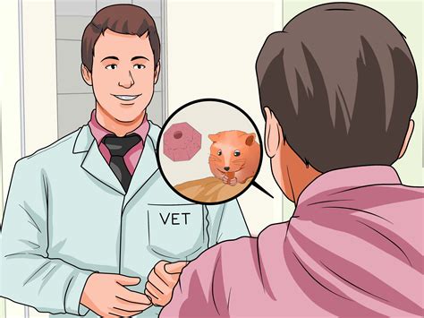 ways to hamster weak naturally 15