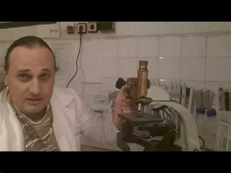 Упражнение 12 Оцветяване на бактериална капсула - YouTube
