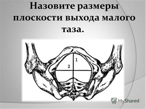 Презентация на тему: "Открытое практическое занятие Тема: «Аномалии ...