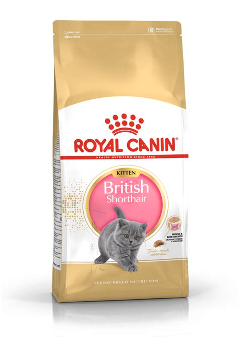 British Shorthair Kitten | Royal Canin EE